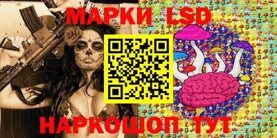 стафф Донской