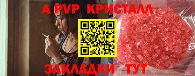 стафф Донской