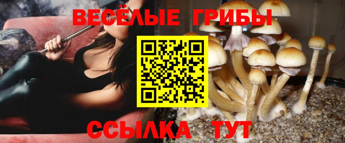 Геленджик  Галлюциногенные грибы мухоморы  Вход с VPN 